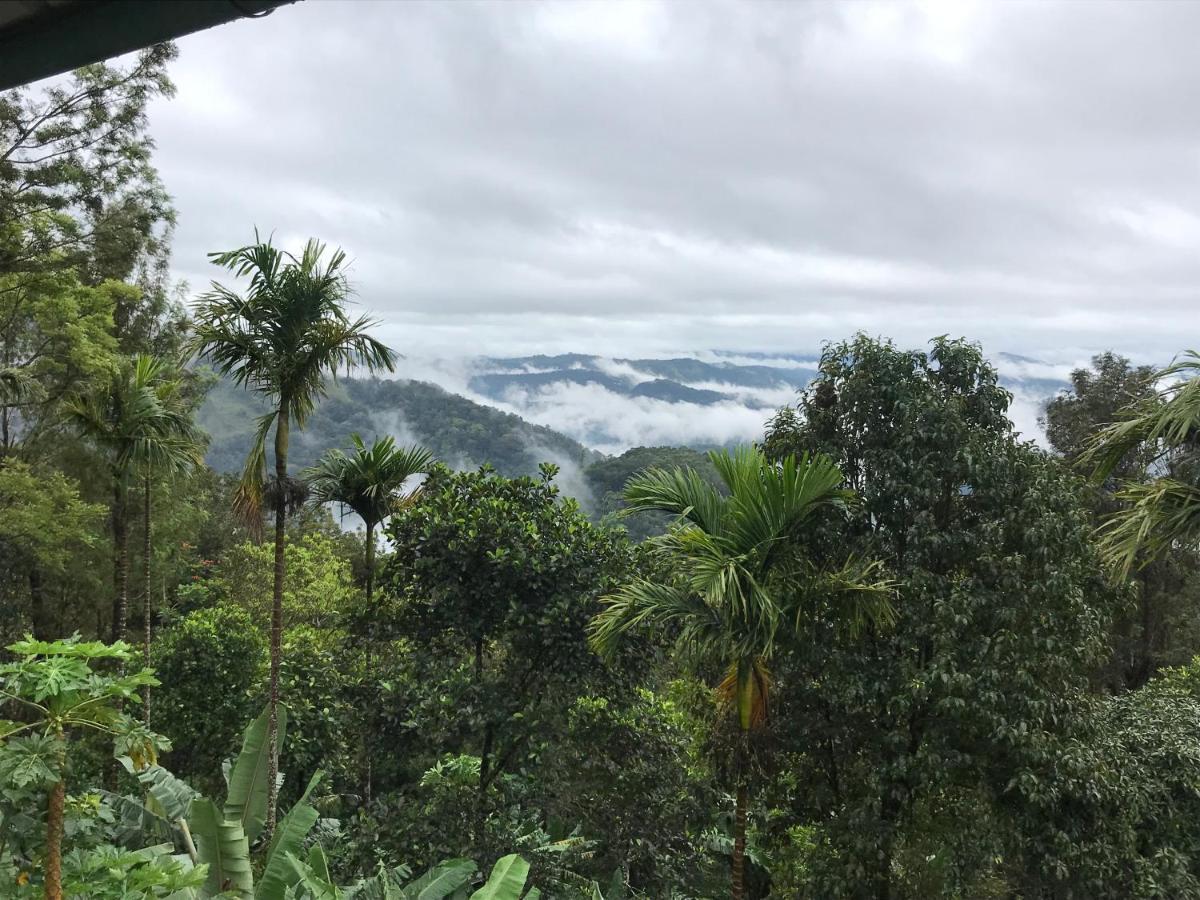 Vila Munnar Nature Dale Exteriér fotografie